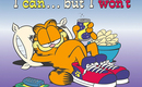 I-can-but-i-won-t-garfield-262532_800_600